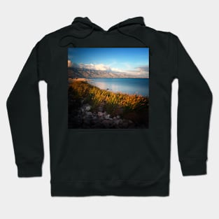 Grass at the beach Hoodie